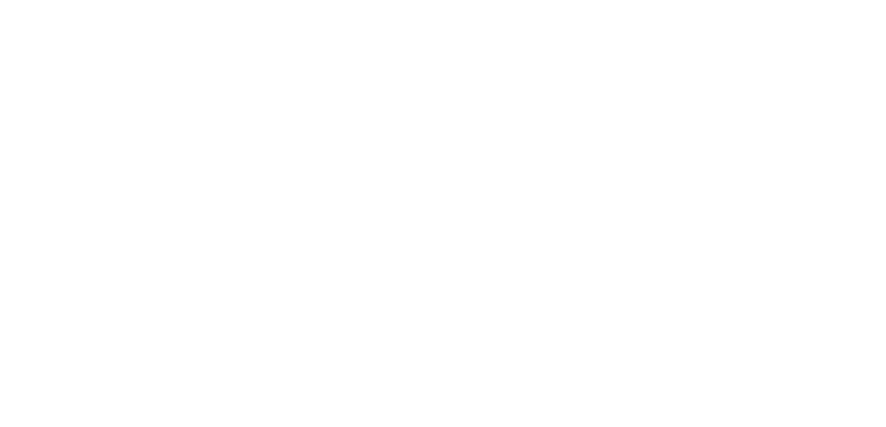 Elation Footer Logo